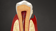 General Dentistry